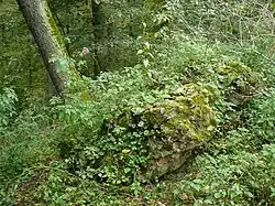 PR Mydlovarsky luh 08.jpg