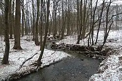 Meandry Rokytky v Mýtě