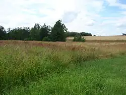 Přírodní rezervace Na podlesích