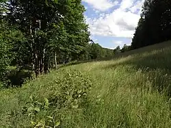 Severní část PR Neratovské louky