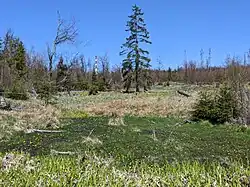 chráněné území v květnu 2023