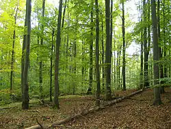 Psí kuchyně (říjen 2014)