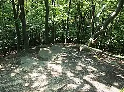 Bukový les a pískovcové lavice