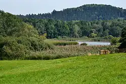 Přírodní rezervace Stará Oleška.