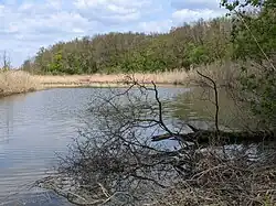 PR Stibůrkovská jezera v dubnu 2023