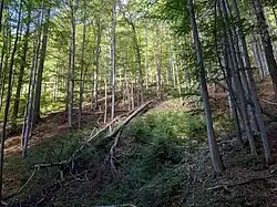 západní okraj chráněného území