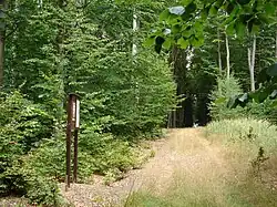 Stromy a cesta v PR U Trojáku