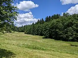 jižní část chráněného území v okolí herbortického domu čp. 45