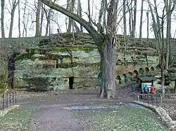 Přírodní rezervace Vinořský park