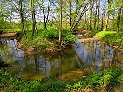 Meandry říčky Dědiny