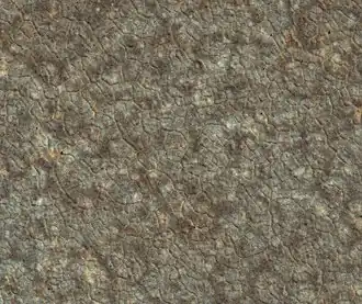 Obrázek povrchu Marsu s polygonálním vzorem v nepravých barvách. Pořízeno sondou Mars Reconnaissance Orbiter.