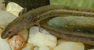 alternativní popis obrázku chybí