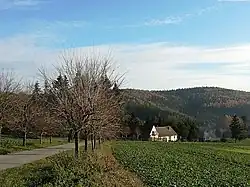 Pohled na Pařezí od silnice z Chotýšan, v pozadí vrchol Kalamajka