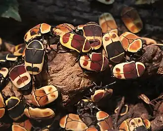 alternativní popis obrázku chybí