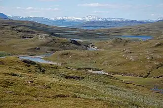 Mezi Tarraluoppal a Staloluokta