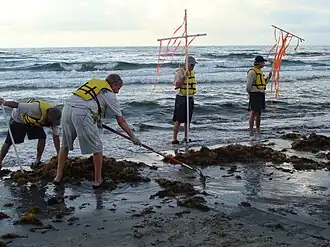 Muži držící oranžové praporky sloužící k zastrašení ptáků