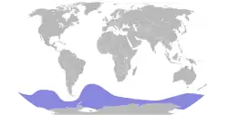 Areál rozšíření