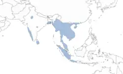 Areál rozšíření