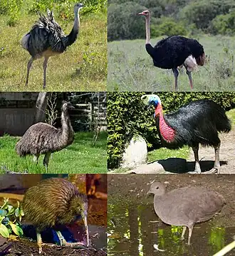 alternativní popis obrázku chybí