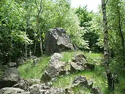 Vrchol kopce Palcíř (725 m) v Brdech.