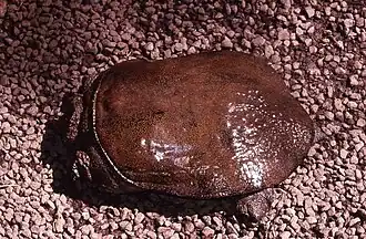 popis obrázku chybí