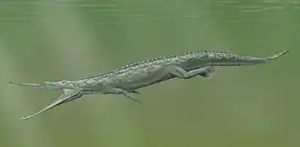 alternativní popis obrázku chybí