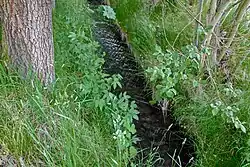 V Dolních Lažanech u soutoku se Stebnickým potokem