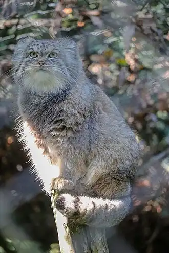 alternativní popis obrázku chybí