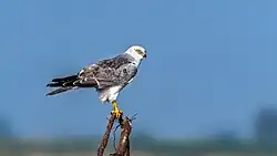 alternativní popis obrázku chybí