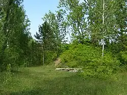 Zelený plácek na konci stezky