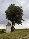 Vedle silnice směrem na Topolany, u kapličky