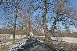 Památná lipová alej v Zásmukách