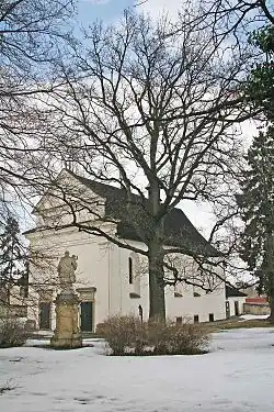 Památný dub letní u kostela Panny Marie v Opočně