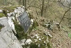 Deska v Lesnickém Slavíně