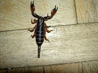 alternativní popis obrázku chybí