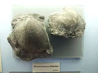 alternativní popis obrázku chybí