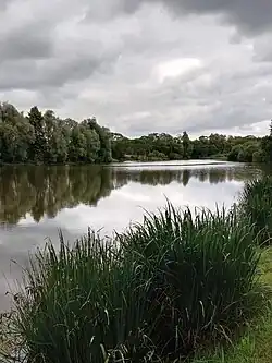 Panenský rybník (2022)