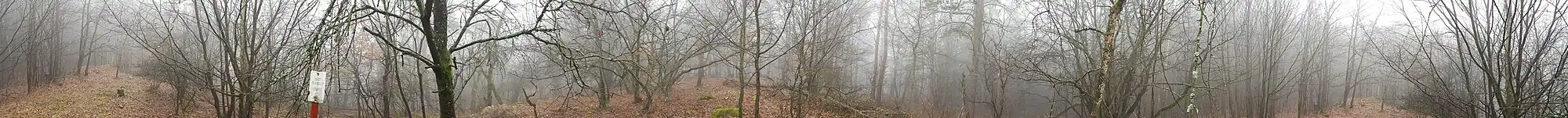 Panoramatický snímek z vrcholu