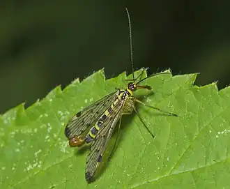 alternativní popis obrázku chybí