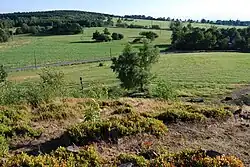 Obervald z Panské skály