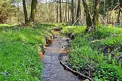 Mezi Štolní a Panskou kyselkou