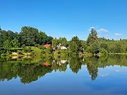 Panský rybník (Hodkov), severní břeh rybníka