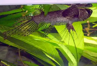 alternativní popis obrázku chybí