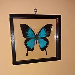 alternativní popis obrázku chybí