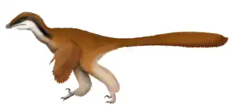 popis obrázku chybí