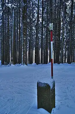 Vrchol před odlesněním