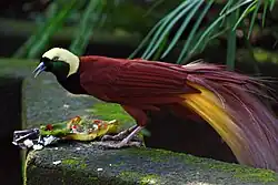 alternativní popis obrázku chybí