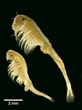 alternativní popis obrázku chybí