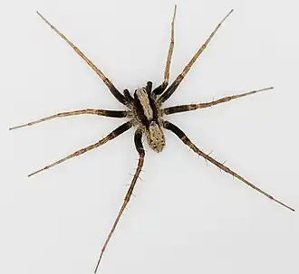 alternativní popis obrázku chybí