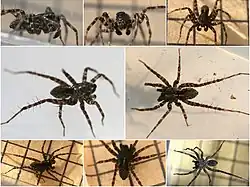 alternativní popis obrázku chybí